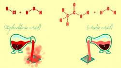 TED-ED: The strengths and weaknesses of acids and bases - George Zaidan and Charles Morton Instructional Video