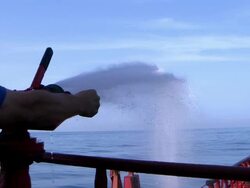 Piracy watch Stock Footage