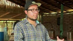 CLEAN : The perils of the Mezcal boom News Clip