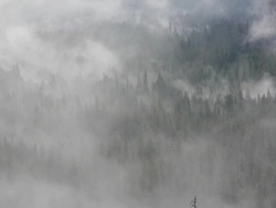 TL, Dramatic winter storm clouds swirling through trees in valley floor, as seen from Tunnelview, Yosemite Valley in Yosemite National Park, California Stock Footage