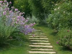 Stone walkway in a marvelous flowered botanical garden, back zoom Stock Footage