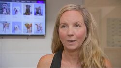 200 Puerto Rico dogs saved by US flight News Clip