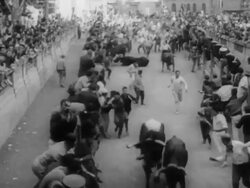 Running of the bulls in Pamplona Stock Footage