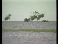 VOICER Uruguayans try to protect environment in Rocha News Clip