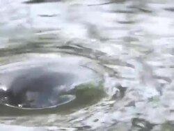 Vortex Stock Footage