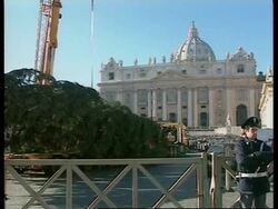 ITALY: VATICAN: CHRISTMAS TREE ERECTED (V) News Clip
