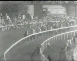 FESTIVAL NEWS News Clip