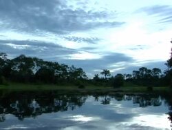 Dusk Reflection in the Amazon Stock Footage