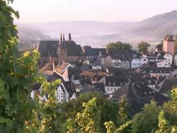 WS View through vineyards to old town with church St. Laurentius / Saarburg, Saar-Valley, Rhineland-Palatinate, Germany Stock Footage