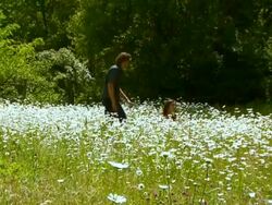 Romantic date Stock Footage