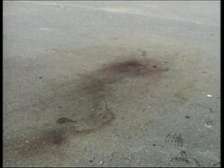 WRAP Israelis shoot dead 7 Palestinians, funeral, Haniyeh comments on Eid violence News Clip