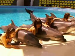 Dolphins and girls Stock Footage