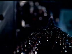 MUNICH OCTOBERFEST News Clip