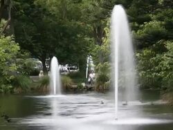 Water Fountain Stock Footage