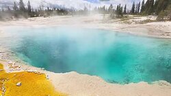 Yellowstone National Park Geyser Stock Footage