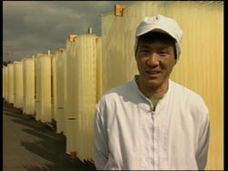 Traditional noodle making in Japan Instructional Video