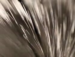 fiber optic cables (HD1080) Stock Footage