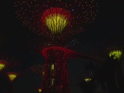 Gardens by the Bay Stock Footage