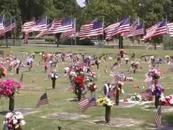 Cemetery Flag Stationary Stock Footage