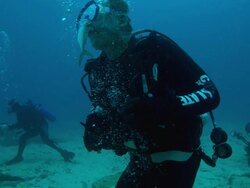 MS SLO MO Shot of male diver underwater taking fake fish in his mouth / Key Large, Florida, United States Stock Footage