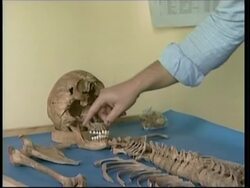 Experts help identify remains of disappeared News Clip