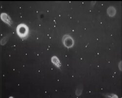 ATOMIC POWER STATION News Clip