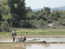 WS farmer tilling a rice paddy / Vientiane, Laos Stock Footage