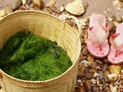 CU SLO MO Shot of basket with algae and pink slippers / Ou river, Luang Prabang, Laos Stock Footage