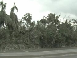 Vegetation destroyed by heavy Ashfall lines side of highway after eruption of Merapi volcano; Indonesia. 7 November 2010 / AUDIO Stock Footage