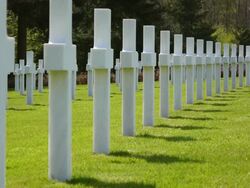 MS View of American war cemetery site / Sandweiler, Luxembourg Stock Footage