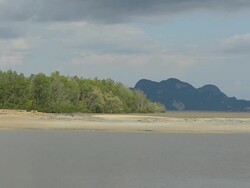 panning : Mangrove islands under rainy storm in afternoon Stock Footage
