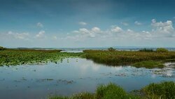 Clouds floating above a lake. Time lapse Stock Footage