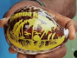 CU Man showing decorated shell / Kanyakumari, Tamil Nadu, India Stock Footage