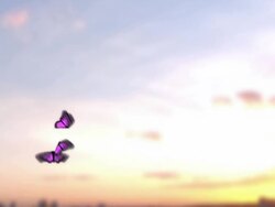 Purple Butterflies Stock Footage