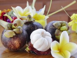 MS Shot of Mangostine Fruit and Frangipani flowe / Ubud, Bali, Indonesia Stock Footage