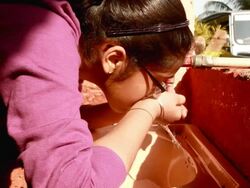 Asian Indian Teenager girl drinking water from tap Stock Footage