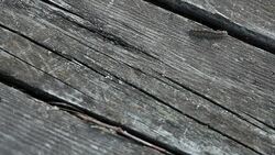 Caterpillar bridging the gap Stock Footage