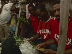 Afar men selling Chat herb at market Stock Footage