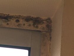 VOICED: Students strike over neglected accommodation News Clip