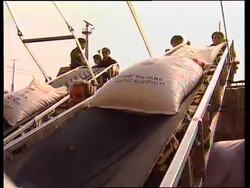 CHINA: EXPERTS SAY FAMINE IN NORTH KOREA IS FAR FROM OVER News Clip