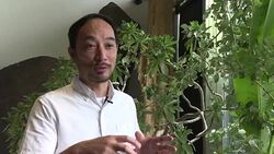 VOICED : Un autobus lleno de plantas encanta a los pasajeros en Taiwan News Clip