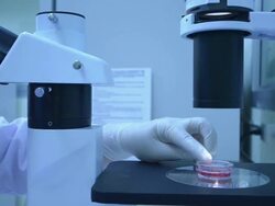 Scientist working at laboratory Stock Footage