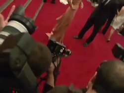 Metropolitan Museum of Art Costume Institute Gala, 'Poiret: King of Fashion' Stock Footage