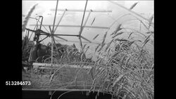 1936: GERMANY PEOPLE: People standing in front of  German sign (about Bavaria) CU Sign 'und Boden' (and ground) under eagle. LA Farmer harvesting wheat, female harvesting potatoes by hand, potatoes emptied from sack into bin. Instructional Video