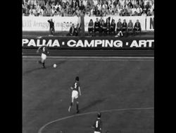 SYND 15 6 73 HUNGARY VERSUS SWEDEN WORLD CUP FOOTBALL MATCH News Clip