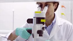 MS TD Scientist using microscope to examine cell culture dish in research laboratory Stock Footage