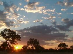 WS PAN View of sunset at Windjana Gorge / King Leopold Ranges, Western Australia, Australia Stock Footage
