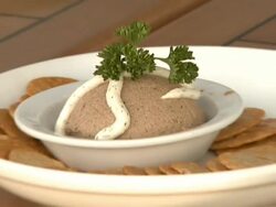 Celebrity Save The Seal Day: Press Conference Hosted by Celebrities Against The Seal Hunt Stock Footage