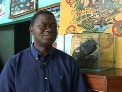CLEAN: Fight to save endangered turtles in Benin News Clip