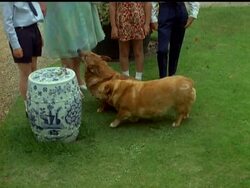 QUEEN MOTHER'S 70th BIRTHDAY News Clip